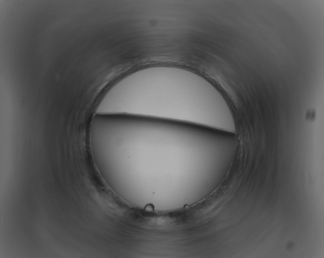 X0000096640212200802051005