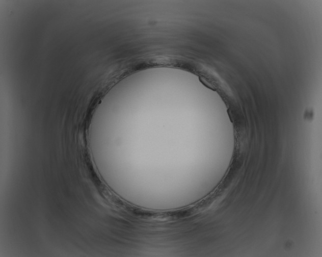 X0000096640213200802051005