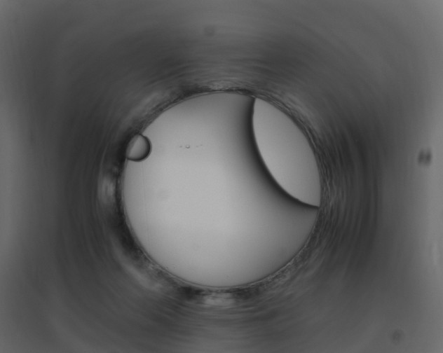 X0000096640214200802051005