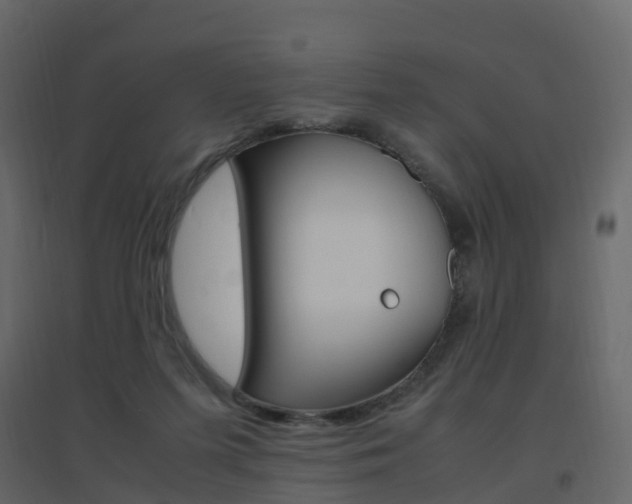X0000096640215200802051005