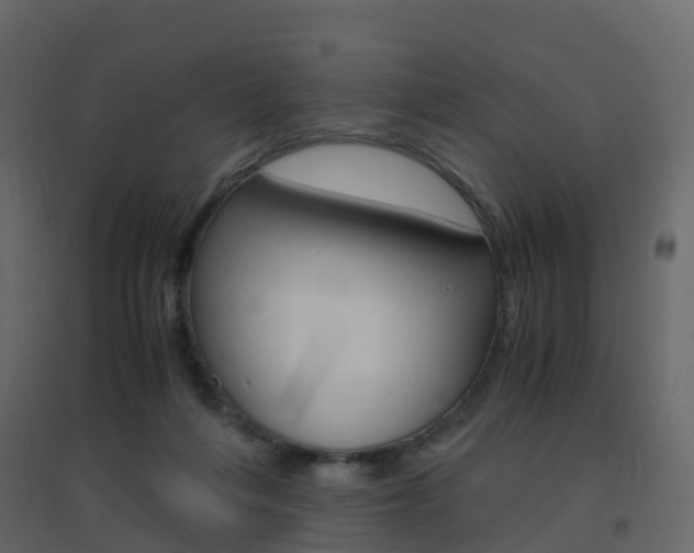 X0000096640216200802051005