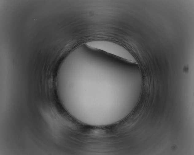 X0000096640220200802051005