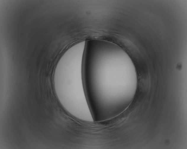 X0000096640221200802051005