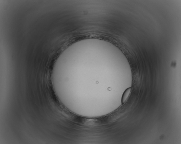 X0000096640222200802051005