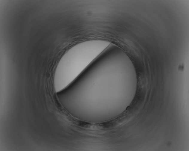 X0000096640223200802051005