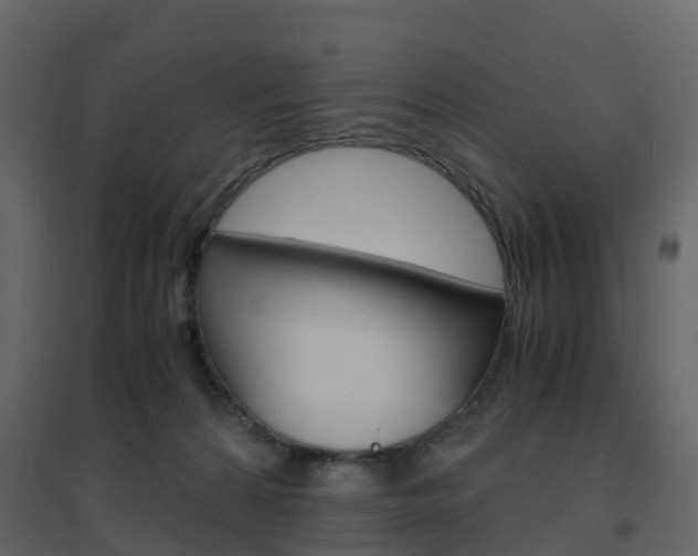 X0000096640224200802051005
