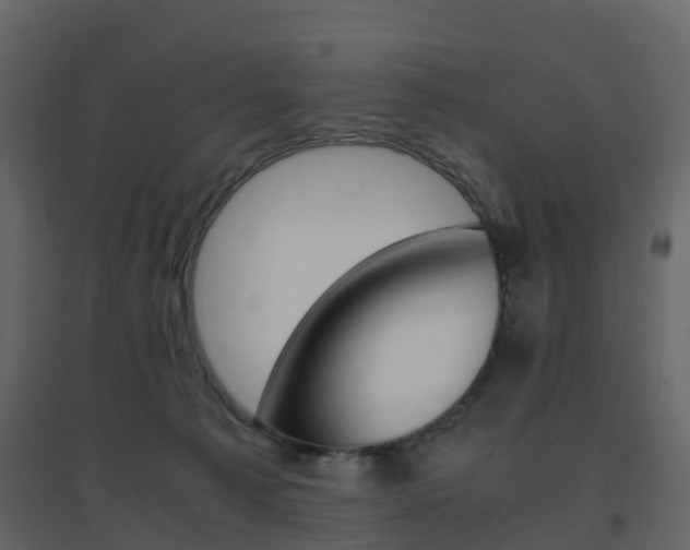 X0000096640225200802051005