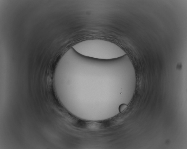 X0000096640226200802051005