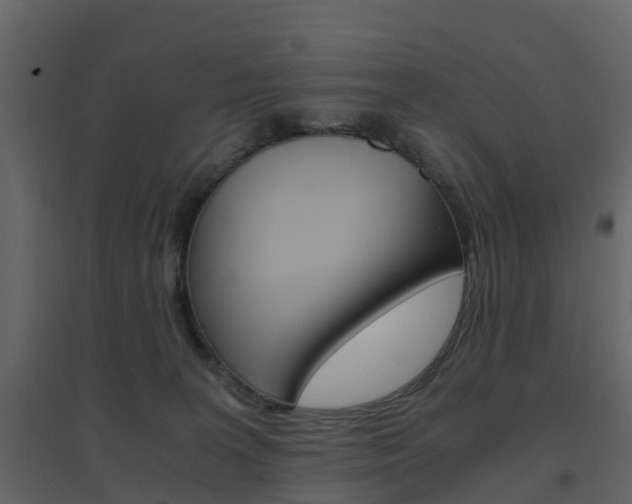 X0000096640227200802051005