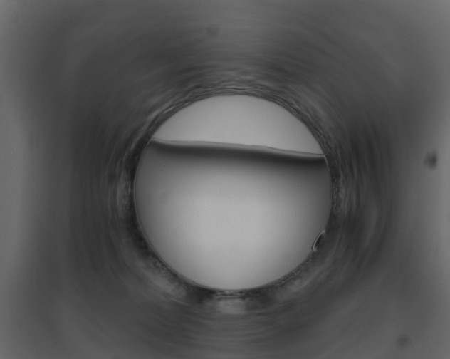 X0000096640228200802051005