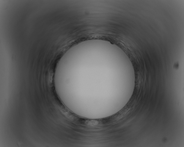 X0000096640230200802051005