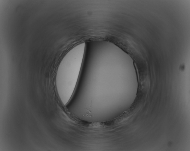 X0000096640231200802051005