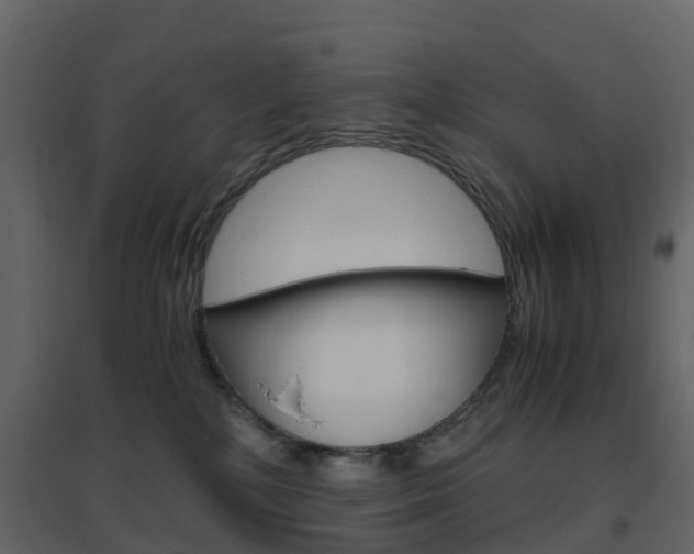X0000096640232200802051005