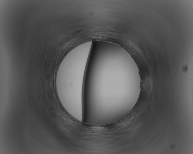 X0000096640233200802051005
