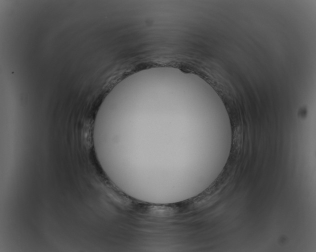 X0000096640234200802051005