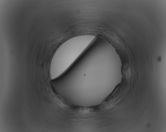 X0000096640235200802051005