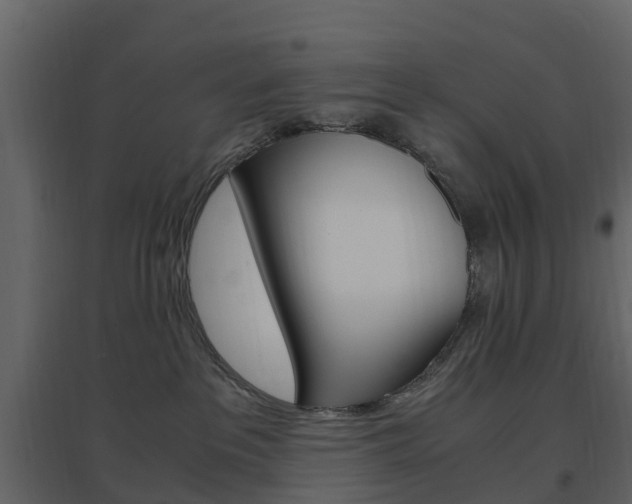 X0000096640237200802051005