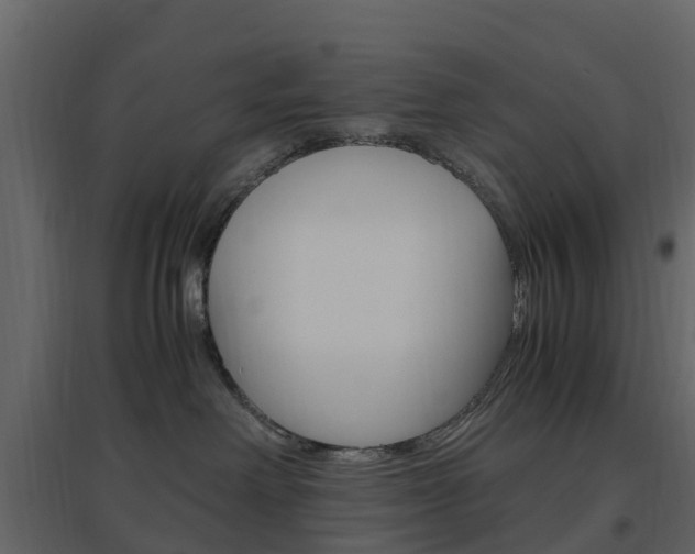 X0000096640238200802051005