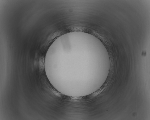 X0000096640240200802051004