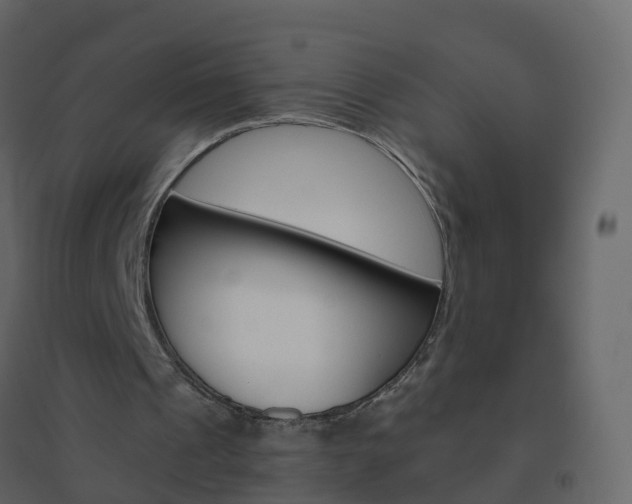 X0000096640241200802051004
