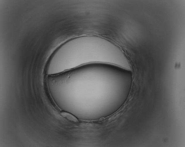X0000096640242200802051004