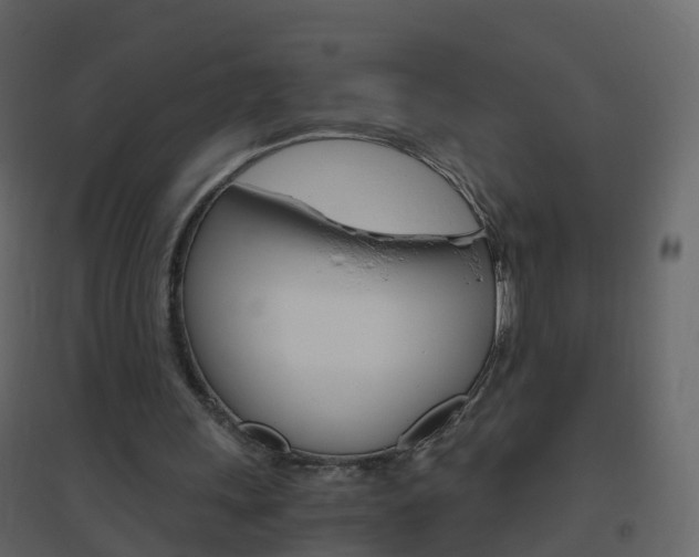 X0000096640243200802051004