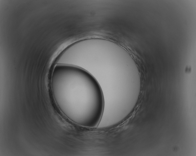 X0000096640244200802051004