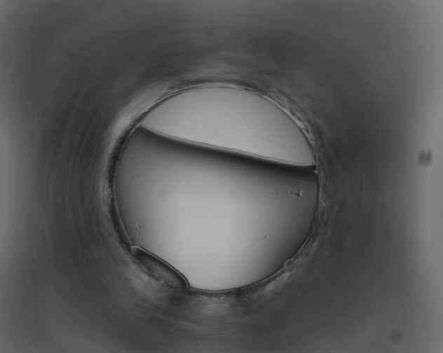 X0000096640245200802051004