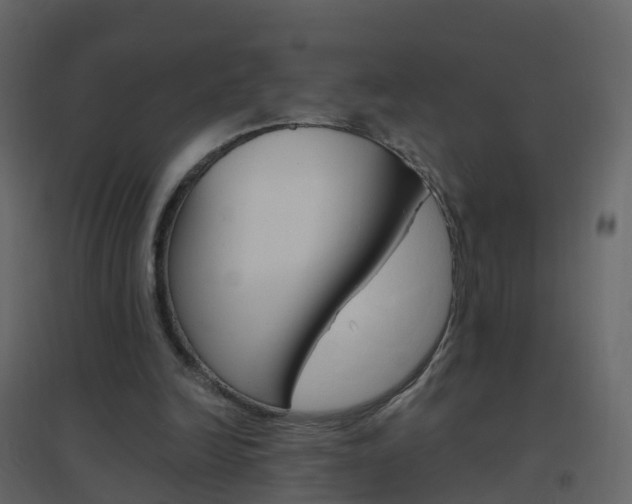 X0000096640246200802051004