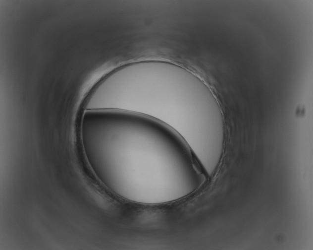 X0000096640248200802051004
