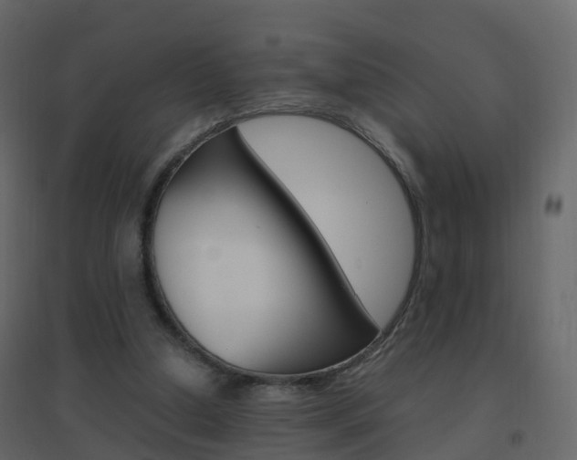 X0000096640250200802051004