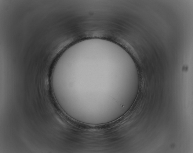 X0000096640251200802051004