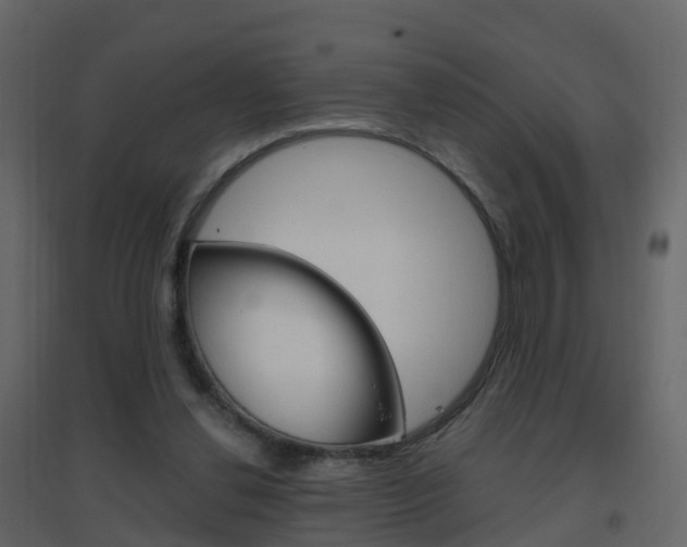 X0000096640252200802051004