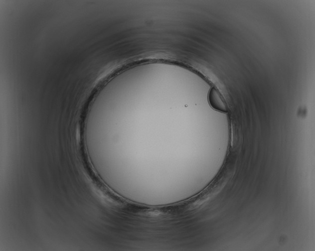 X0000096640253200802051004