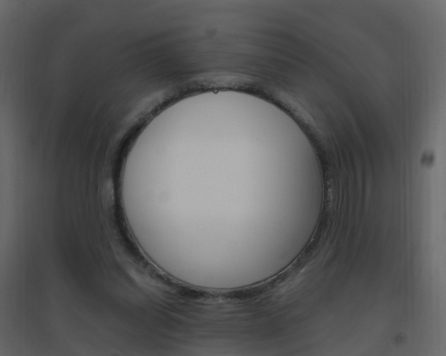 X0000096640254200802051004