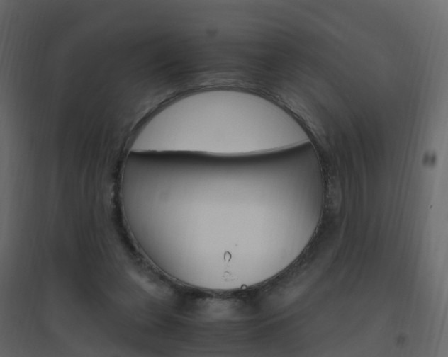 X0000096640255200802051004