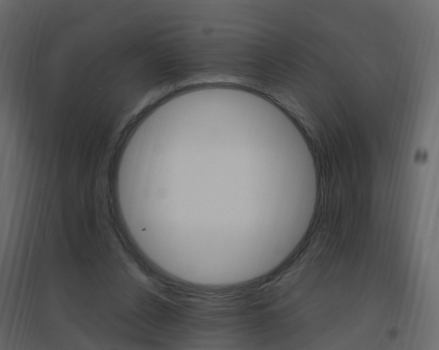 X0000096640256200802051004