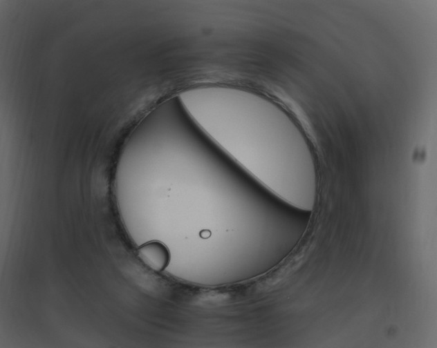 X0000096640257200802051004