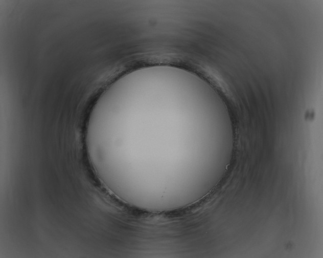 X0000096640258200802051004