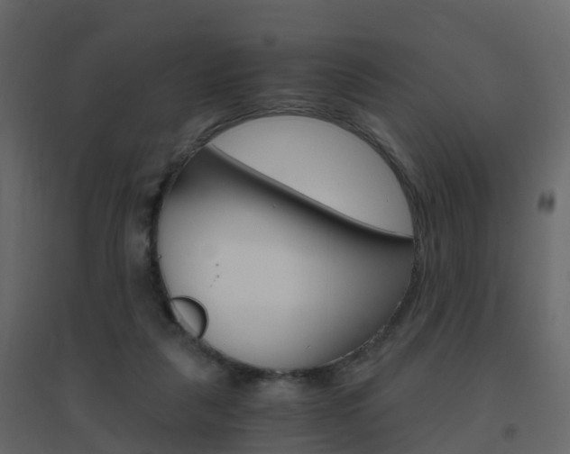 X0000096640259200802051004