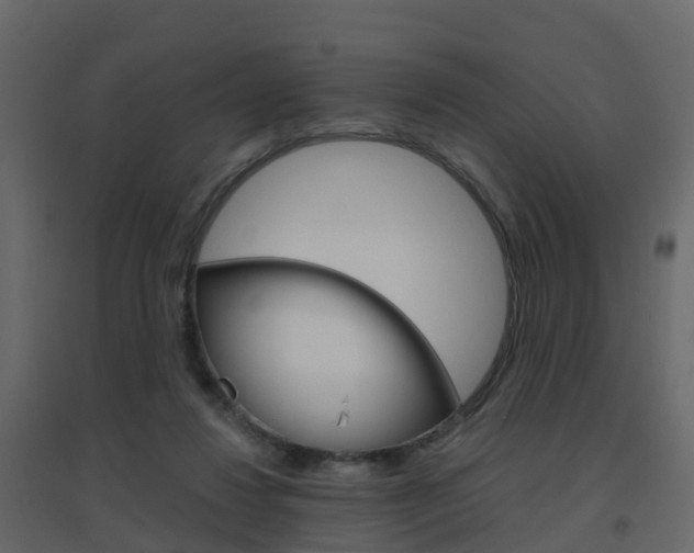 X0000096640260200802051004