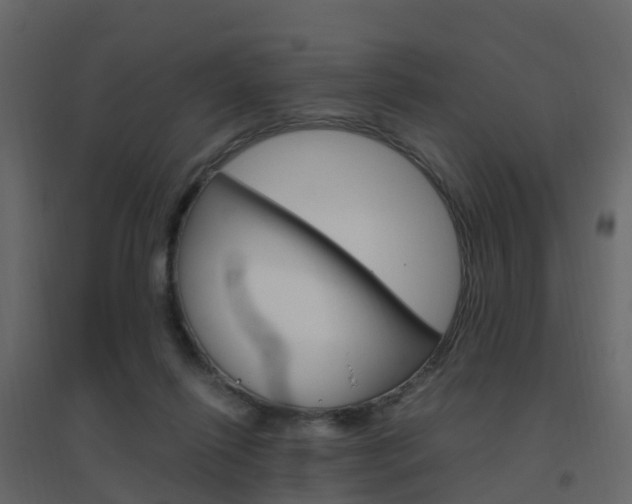X0000096640262200802051004