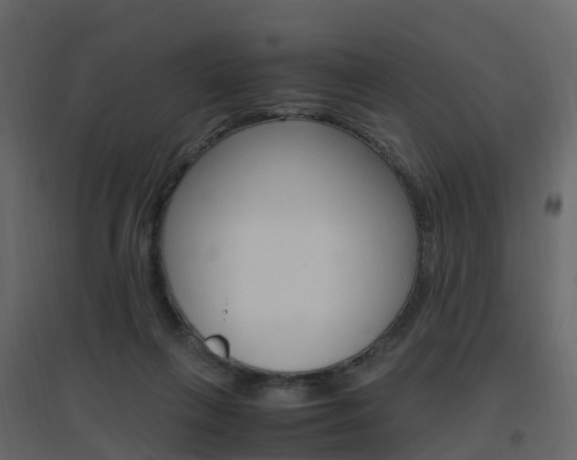 X0000096640263200802051004