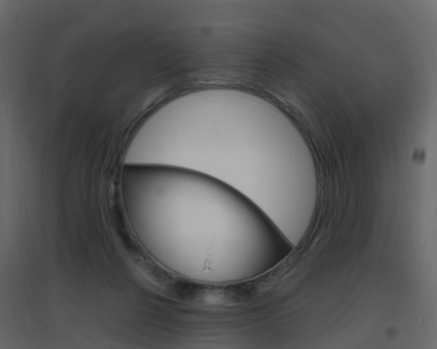 X0000096640264200802051004