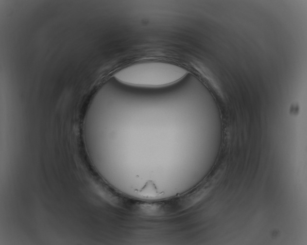 X0000096640265200802051004