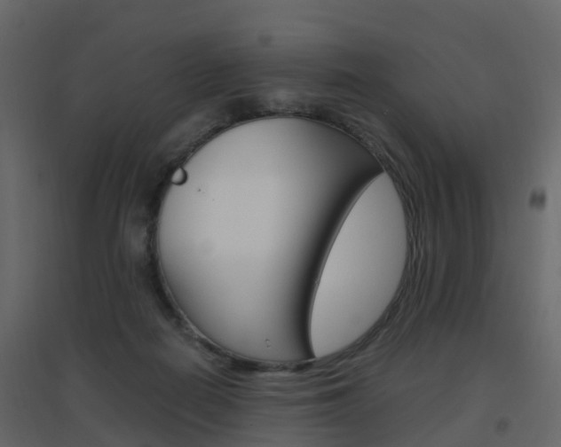 X0000096640266200802051004