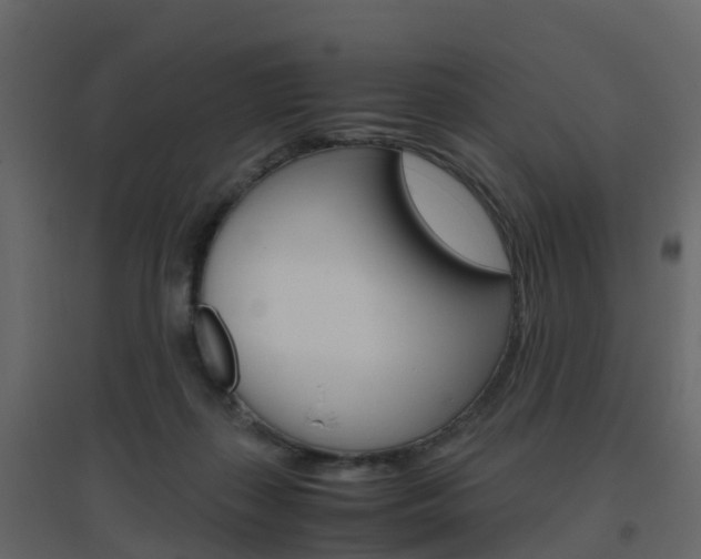 X0000096640267200802051004