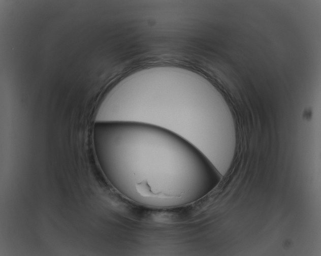 X0000096640268200802051004