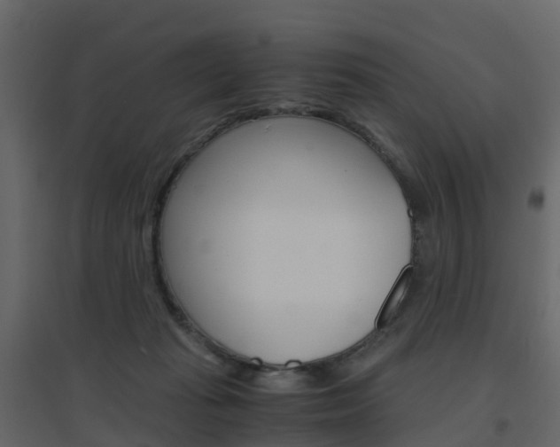 X0000096640269200802051004