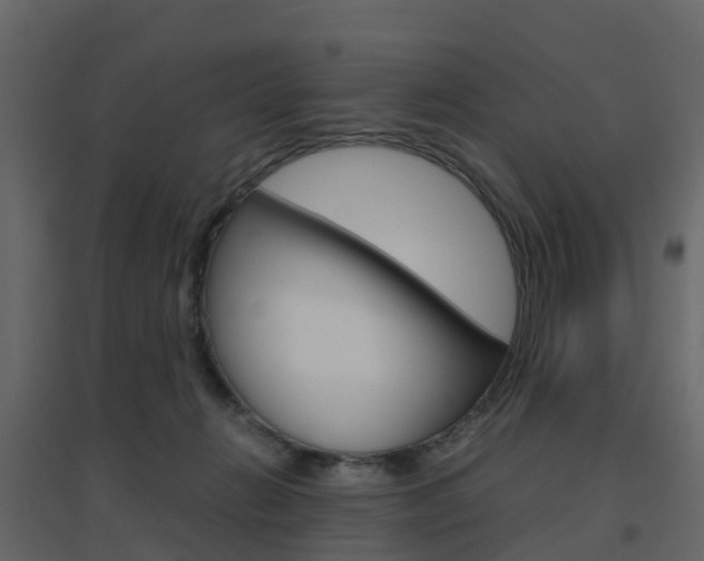 X0000096640270200802051004